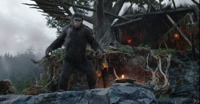 Xem Phim Sự Khởi Đầu Của Hành Tinh Khỉ - Dawn Of The Planet Of The Apes - Vkool.Net - Ảnh 5