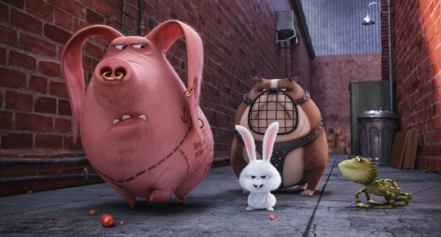 Xem Phim Đẳng Cấp Thú Cưng - The Secret Life Of Pets - Vkool.Net - Ảnh 4